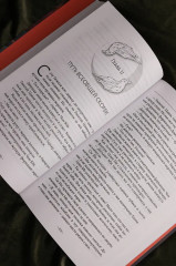 Светлый пепел луны. Книга 4 - Фото 7