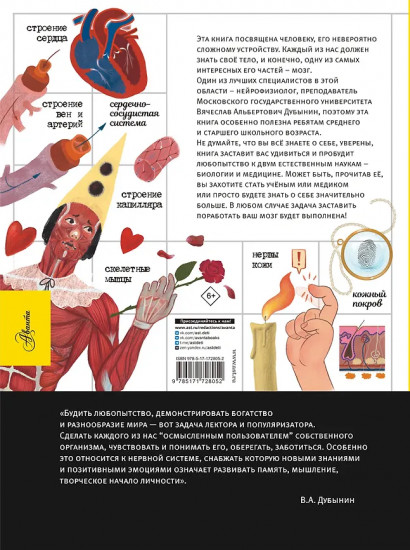 Человек. Исследуем тело и мозг человека