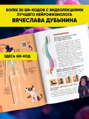 Человек. Исследуем тело и мозг человека - Фото 4