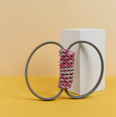 Игрушка для собак - Фото 4