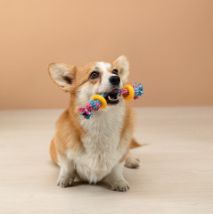 Игрушка для собак - Фото 10