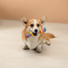 Игрушка для собак - Фото 11