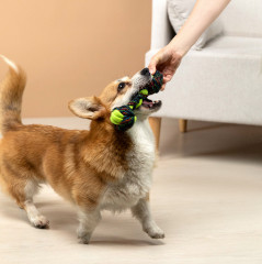 Игрушка для собак - Фото 10