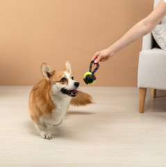 Игрушка для собак - Фото 9