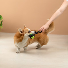 Игрушка для собак - Фото 10