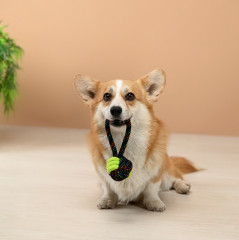 Игрушка для собак - Фото 11