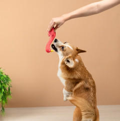 Игрушка для собак - Фото 11