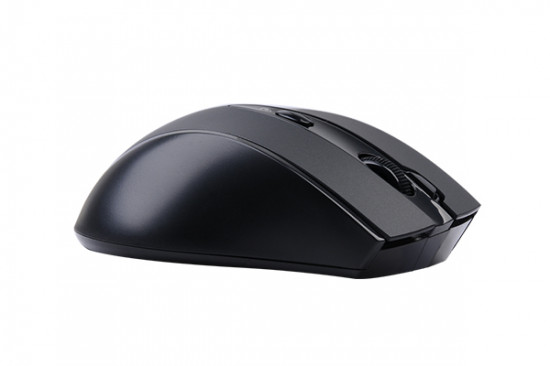 Мышь A4Tech G10-770FL