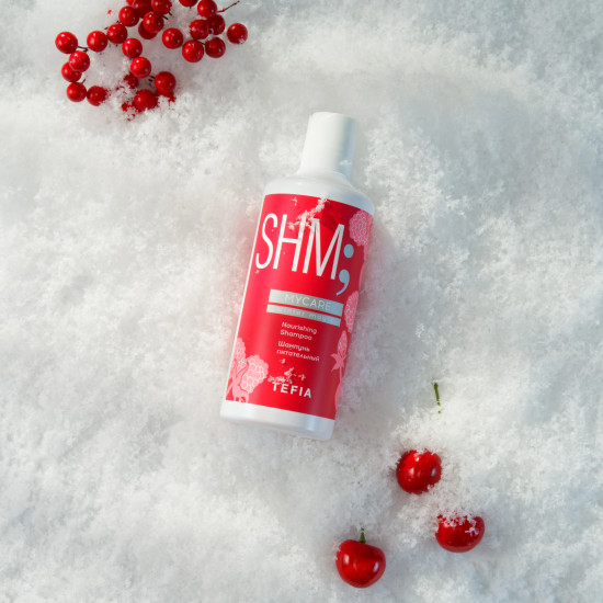 Шампунь для волос питательный «Winter Magic»