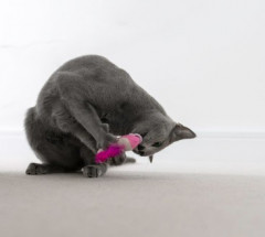 Игрушка для кошек «Креветки» - Фото 2