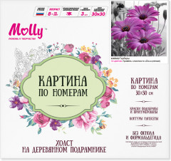 Картина по номерам «Герберы» - Фото 1