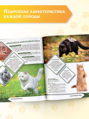 Большая энциклопедия о кошках и собаках - Фото 6
