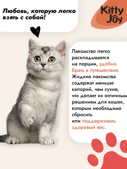 Лакомство для кошек «Крем-пюре с курицей»