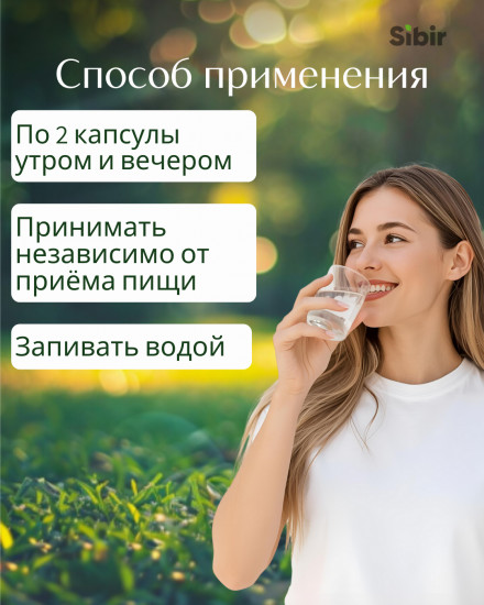 Капсулы «Рейши»