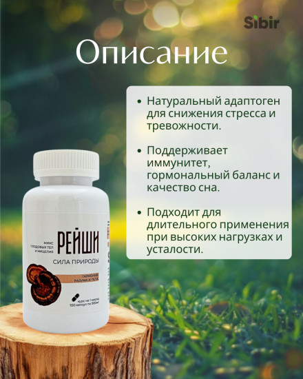 Капсулы «Рейши»