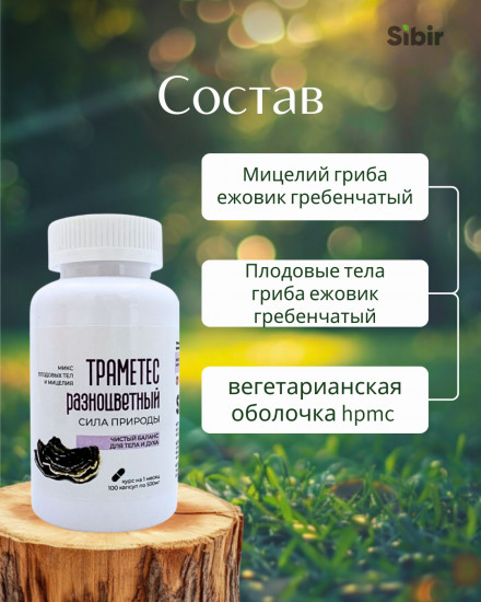 Премиум ежовик гребенчатый