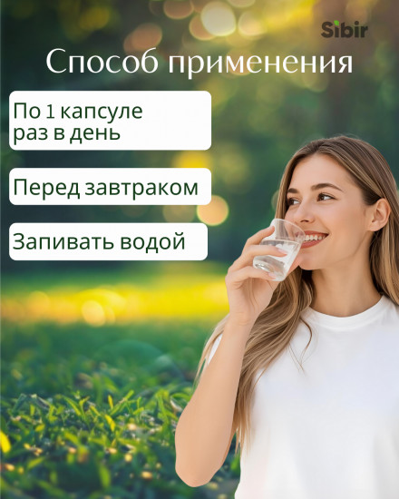 Премиум ежовик гребенчатый