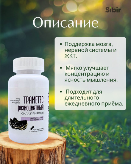 Премиум ежовик гребенчатый