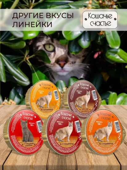 Корм влажный для котят с говядиной