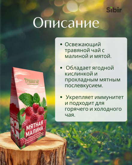 Чайный напиток с листочками дикой мяты и малиной на чёрном чае «Мятная малина»