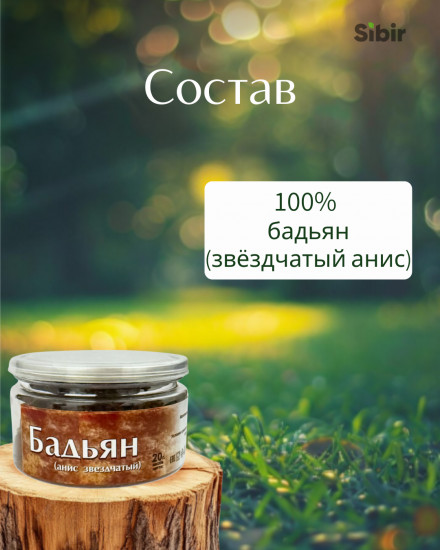 Бадьян (анис звездчатый)