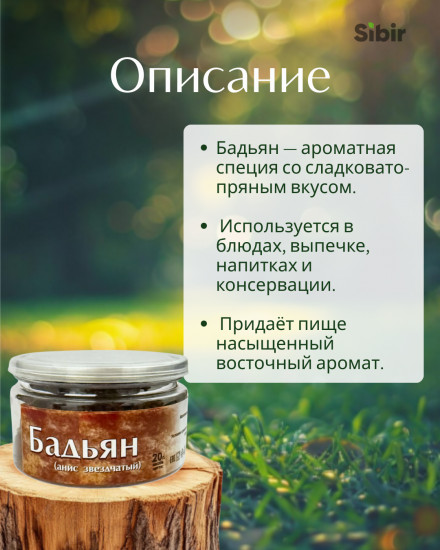 Бадьян (анис звездчатый)