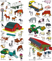 На ферме. Найди и покажи - Фото 5