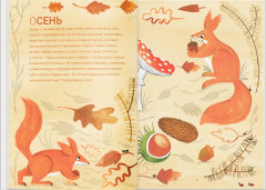 Сад круглый год. Что такое пермакультура - Фото 3