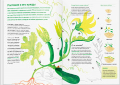 Сад круглый год. Что такое пермакультура - Фото 4