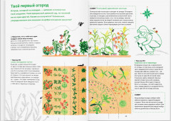 Сад круглый год. Что такое пермакультура - Фото 5