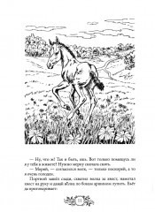 Сказки народов России. Том 2 - Фото 4