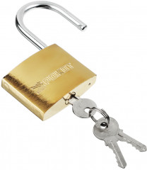 Замок навесной «Золото» - Фото 2