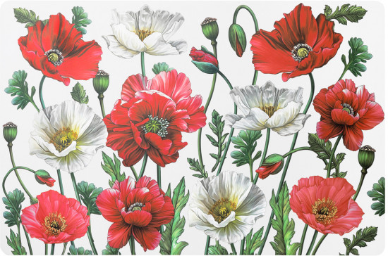 Набор салфеток подстановочных «Маки»