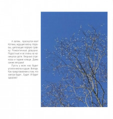 Время первоцветов - Фото 2