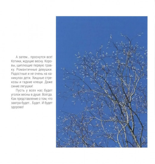 Время первоцветов