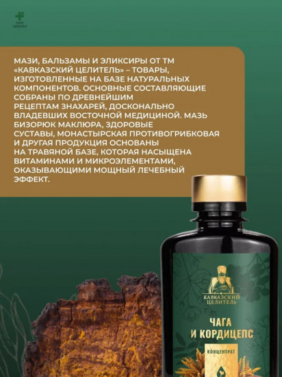 Концентрат «Чага и кордицепс»