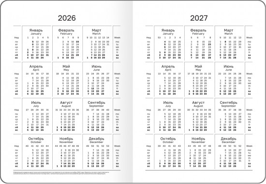 Ежедневник недатированный с резинкой «Anemone»