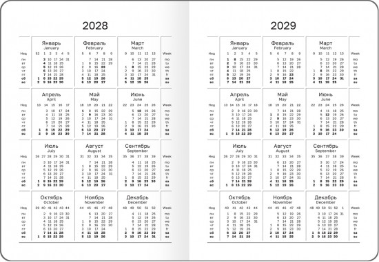 Ежедневник недатированный с резинкой «Anemone»