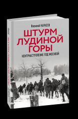 Штурм Лудиной горы. Контрнаступление под Москвой - Фото 2