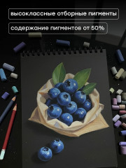 Набор пастели сухой художественной «Палитра М.Павловой» - Фото 10