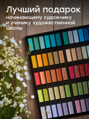 Набор пастели сухой художественной «Палитра М.Павловой» - Фото 16