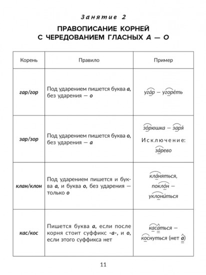 Правила и объяснения, словарные и проверочные диктанты, нейропсихологические упражнения. 6 класс