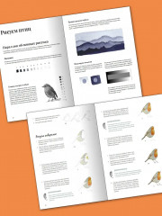 Рисуем акварелью. Птицы леса и сада - Фото 7