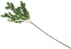 Цветок искусственный «Эвкалипт» - Фото 3