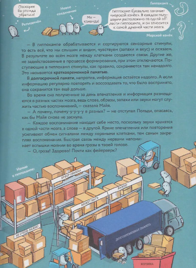 Что такое человек? Записки любознательного хомяка