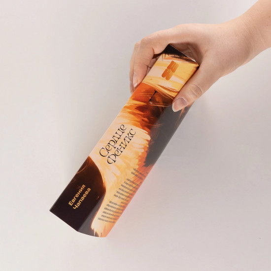 Дети неба. Том 1. Сердце Феникс