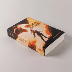 Дети неба. Том 1. Сердце Феникс - Фото 3