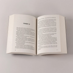 Дети неба. Том 1. Сердце Феникс - Фото 4