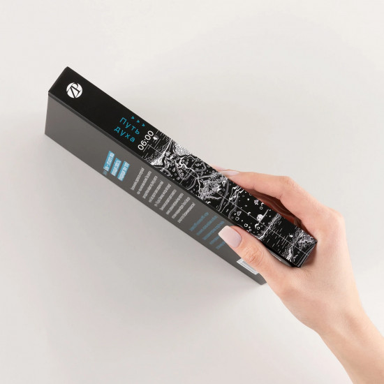 Дисгардиум. Книга 6. Путь духа