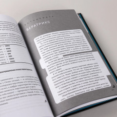 Дисгардиум. Книга 6. Путь духа - Фото 6